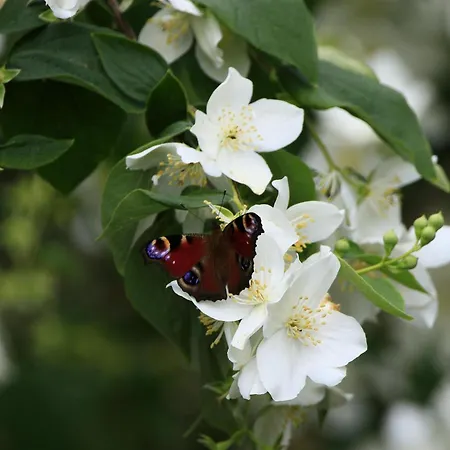 Apartamento Anderswo Fichtelberg