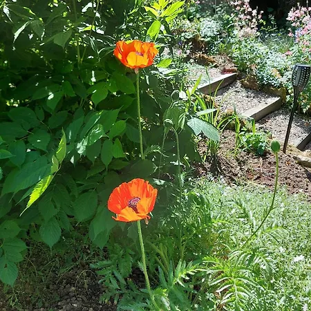 Apartamento Anderswo