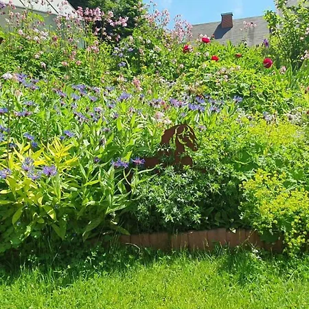 Anderswo Apartamento *